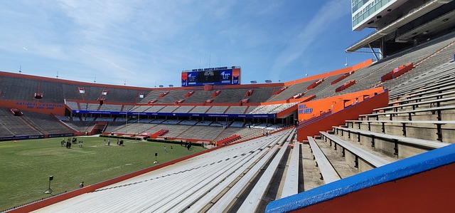 深圳队有望 深圳队有望