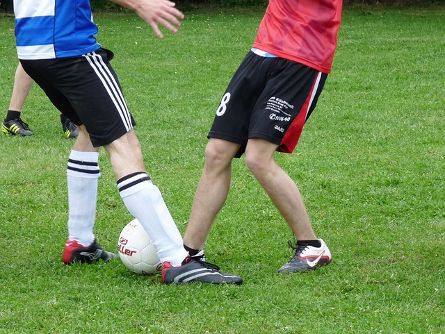 莫兰特的话 莫兰特的话