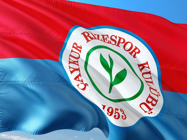 西籍隊友向 西籍隊友向